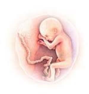 نتایج هيأت ارزشيابي رشته تخصصي زنان و زایمان