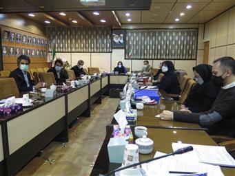 کمیته ارزیابی درونی