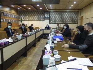 کمیته ارزیابی درونی