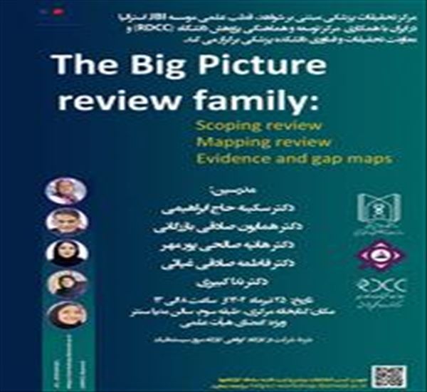 کارگاه آموزشی the big picture review family
